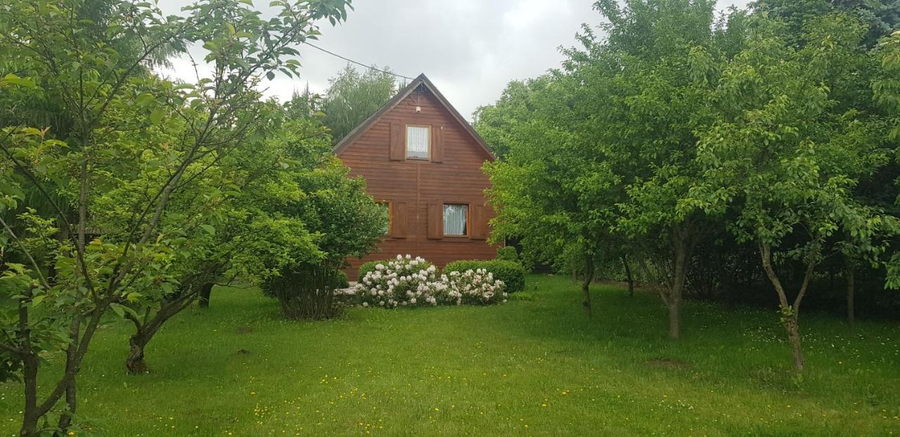 Szyszka I Roza Domek Na Jurze Zelazko Экстерьер фото