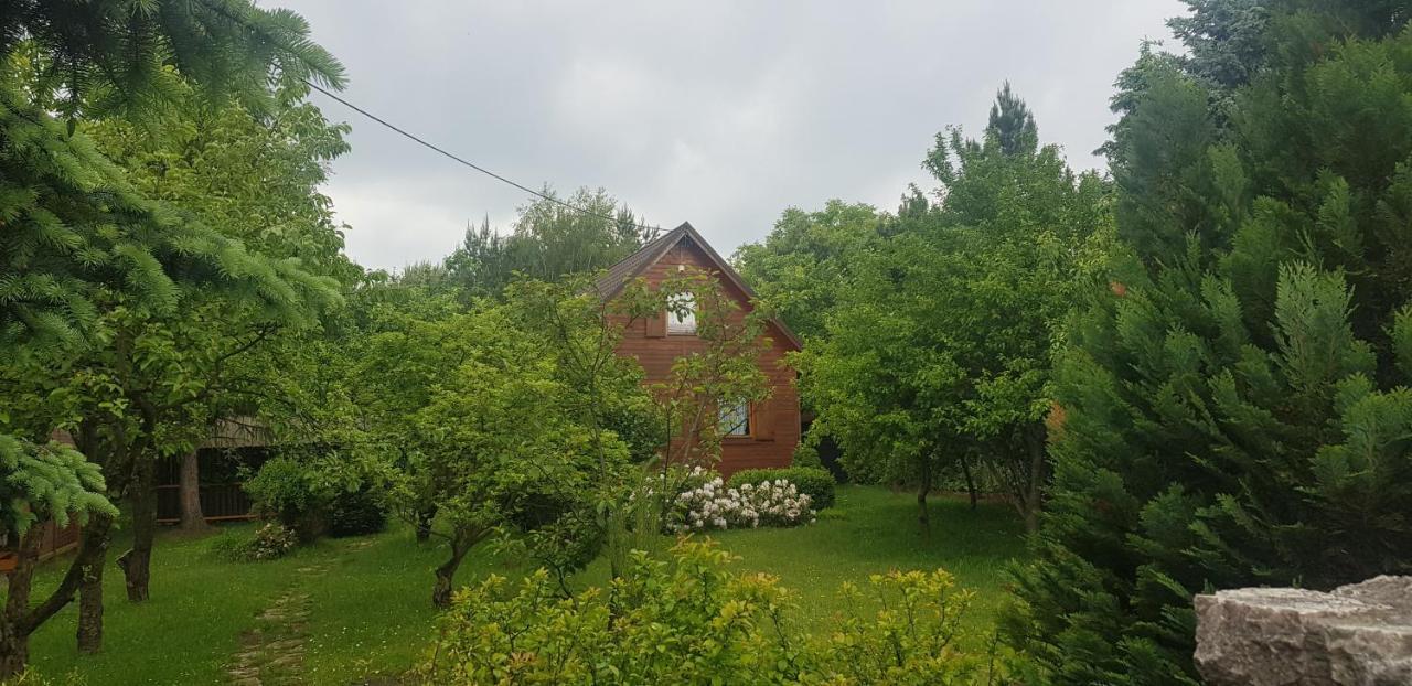 Szyszka I Roza Domek Na Jurze Zelazko Экстерьер фото