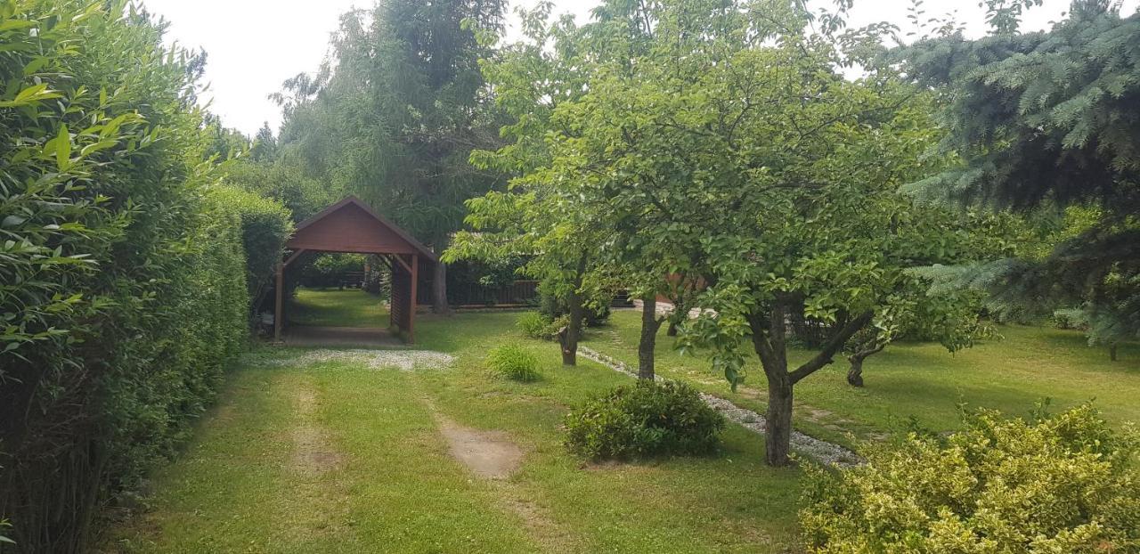 Szyszka I Roza Domek Na Jurze Zelazko Экстерьер фото