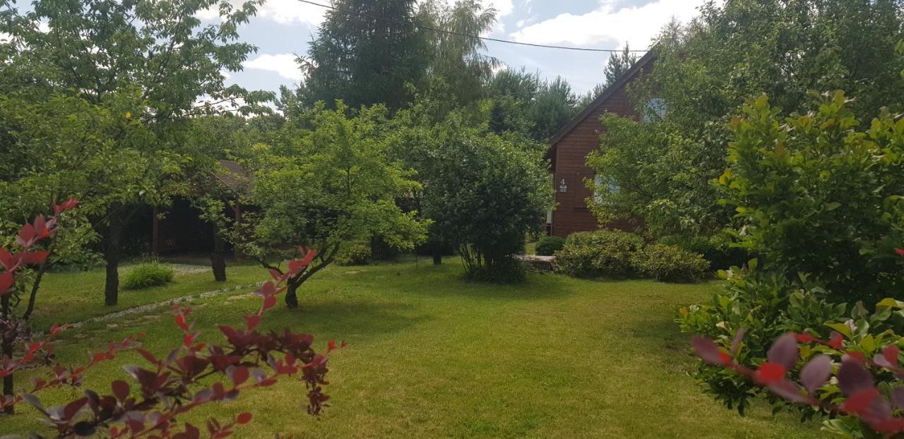Szyszka I Roza Domek Na Jurze Zelazko Экстерьер фото