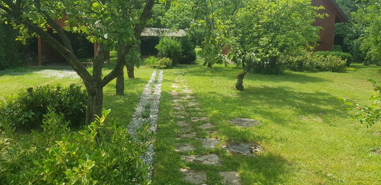 Szyszka I Roza Domek Na Jurze Zelazko Экстерьер фото